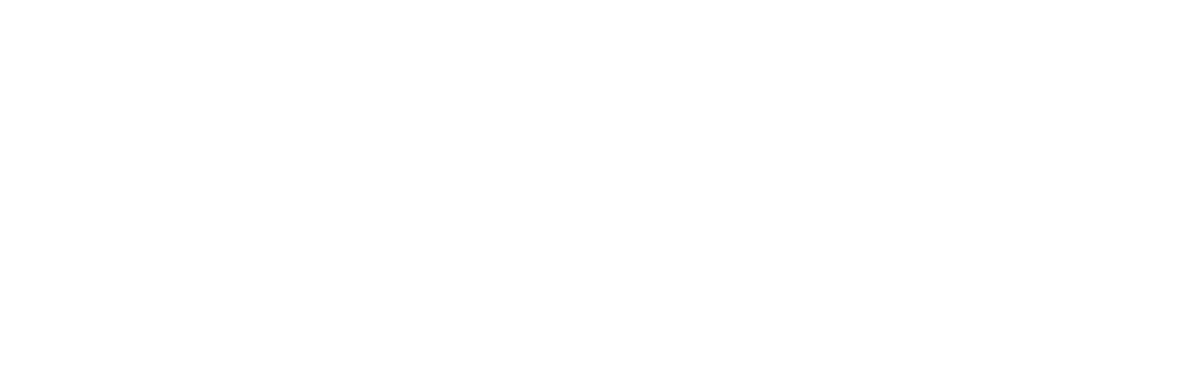 Pine Island New Energy Partners